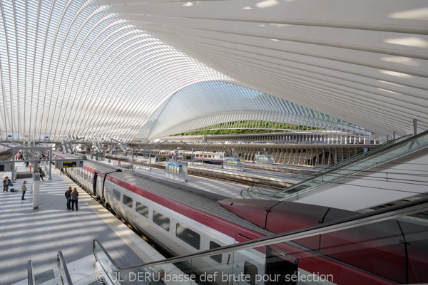 gare de Liège-Guillemins
Liege-Guillemins railway station